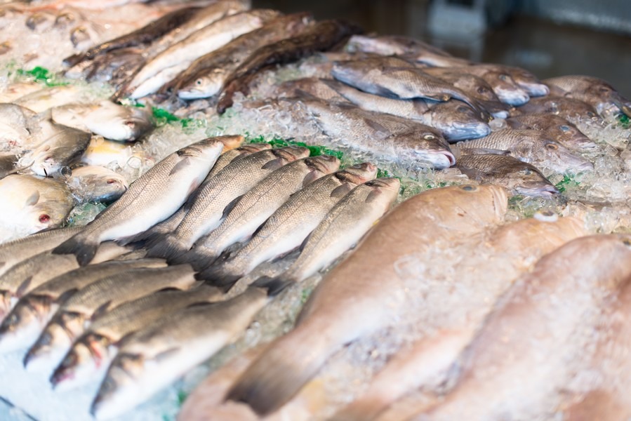 peixes