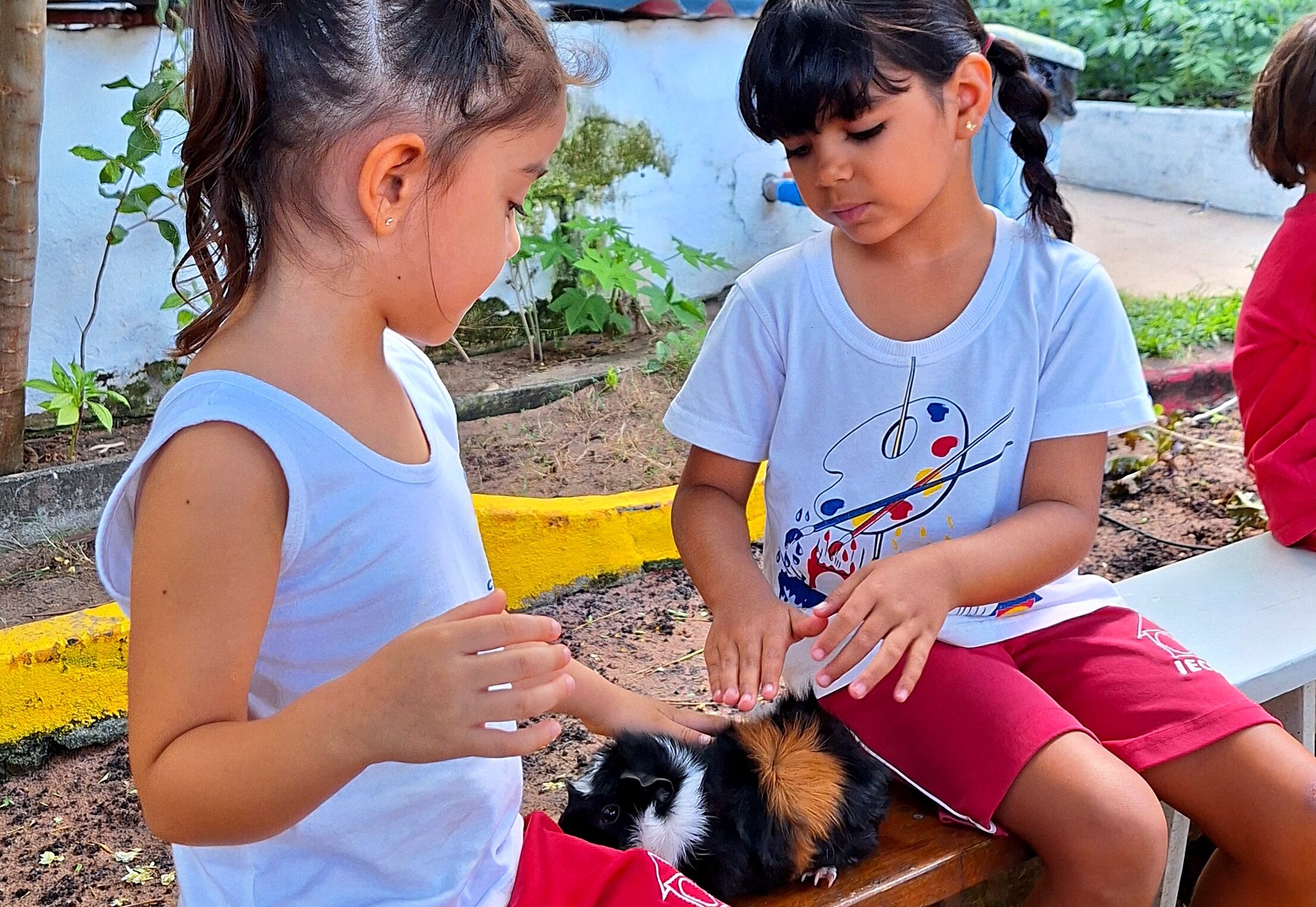 crianças