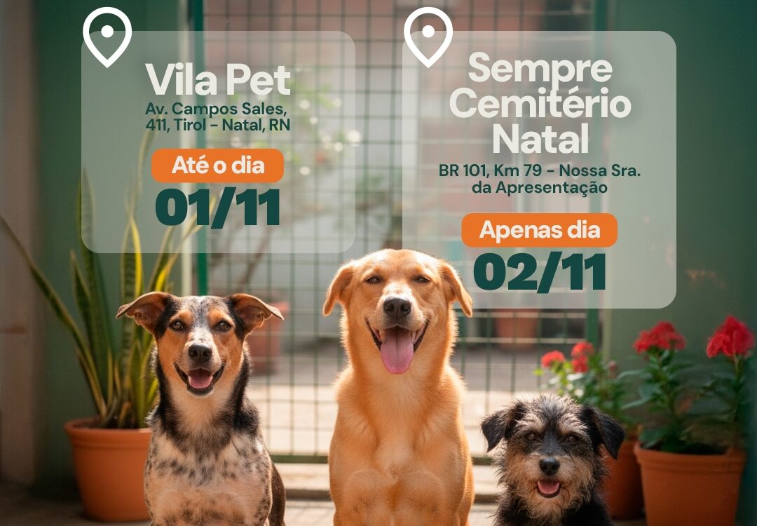 Sempre Cemitério